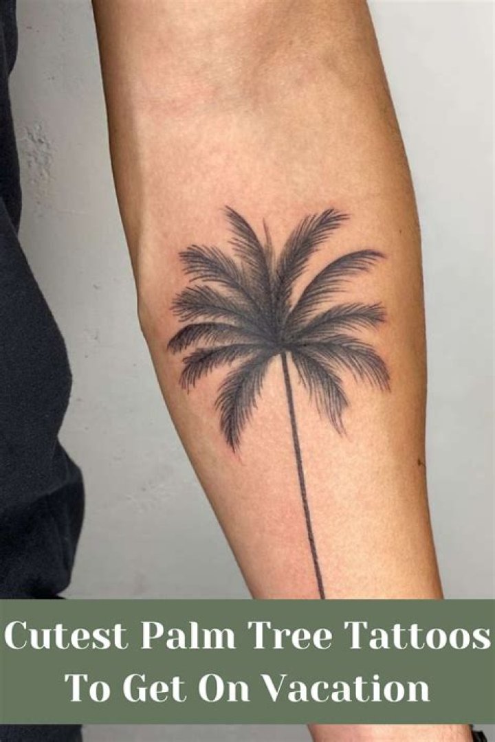 Stunning Palm Tree Tattoos: Designs, Meanings, And Inspirations