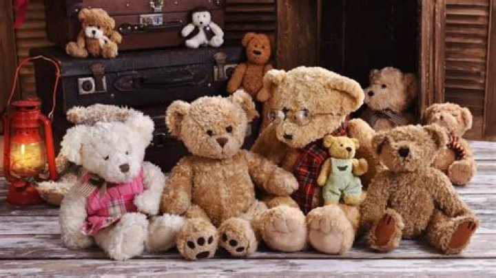 Teddy Bears: Why They're Named Teddy, Revealed!