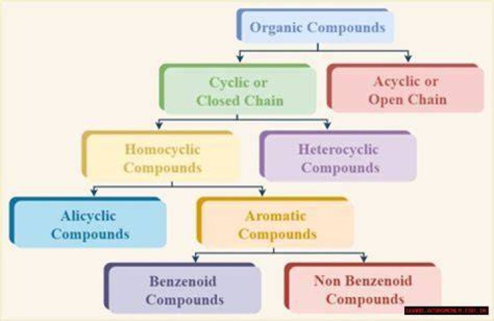 The ABCs Of Organic And Inorganic Compounds: A Comprehensive Guide