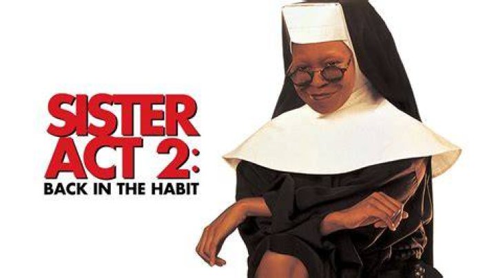 The Appealing Cast Of Back In The Habit 2
