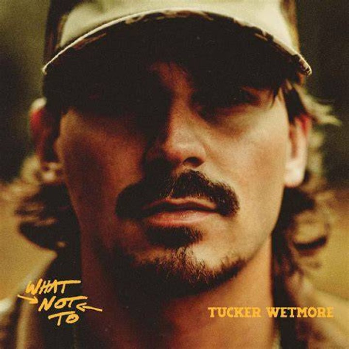 The Captivating Journey Of Tucker: A Young And Restless Spirit