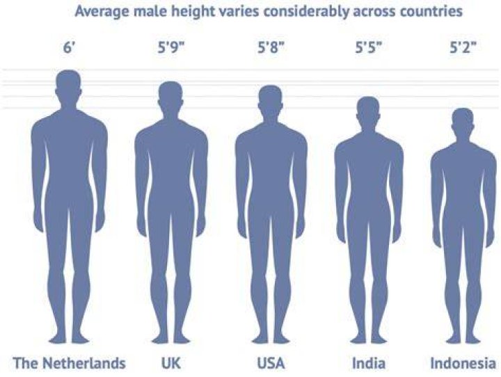 The Definitive Guide To Zach Bryan's Height: Measurements And Facts