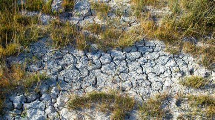 The Dire Consequences Of Aquifer Depletion: Impacts On Ecosystems And Society