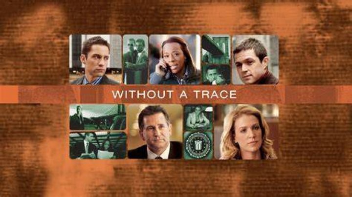 The Disappeared Stars Of "Without A Trace": Their Present-Day Whereabouts Revealed