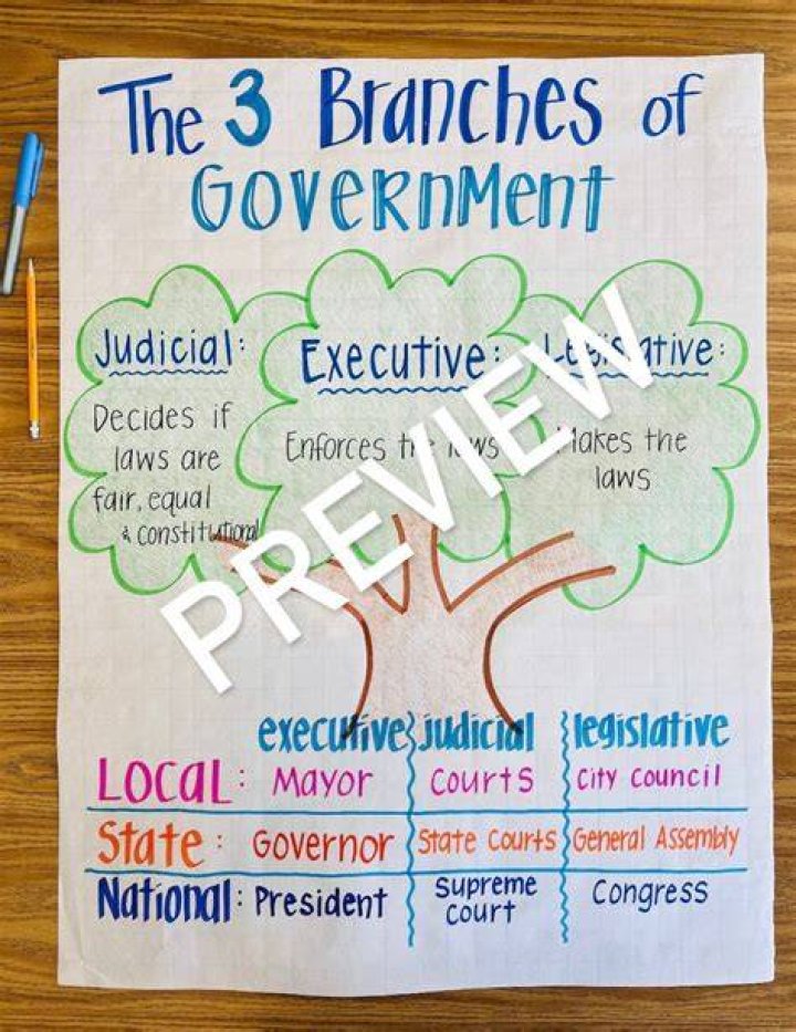 The Executive Branch: A Comprehensive Overview