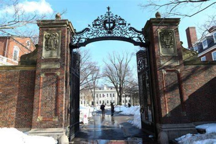 The Expertise Of Gina Grant At Harvard University