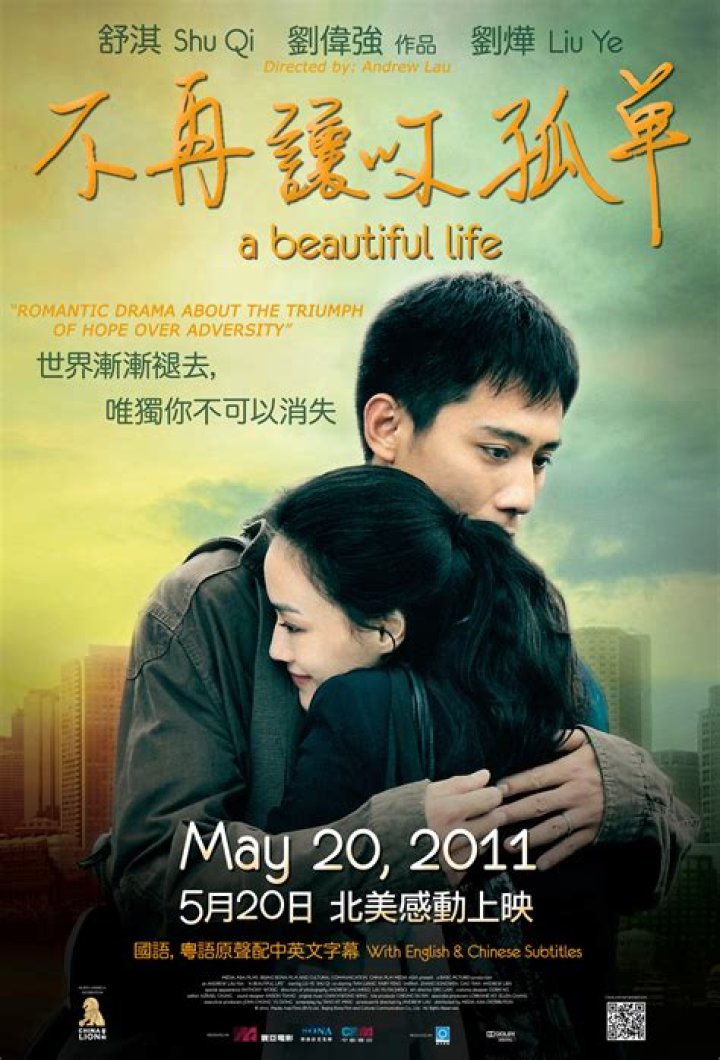 The Heartfelt Journey: A Beautiful Life 2008