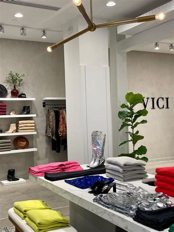 The Inside Scoop: Vici's Founder Reveals All