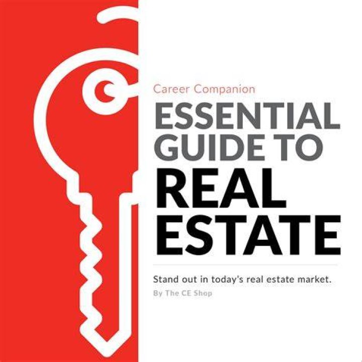 The Insider's Guide To Real Estate: Unlocking The Secrets With Paul, The Novelist