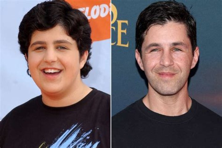 The Latest News And Updates On Josh Peck In 2008