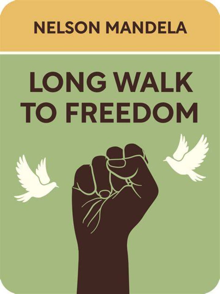 The Life And Legacy Of Mai Linh Lofgren, Vietnamese-American Activist
