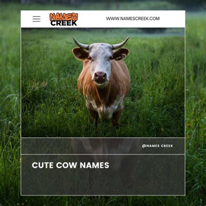 The Most Offensive Cow Names: A Comprehensive Guide