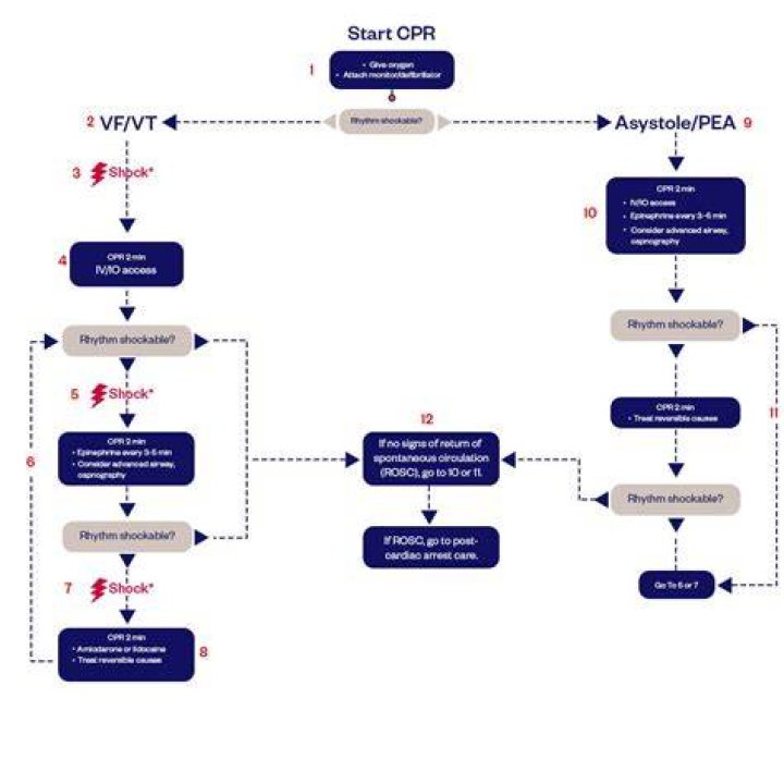 The Reason Behind Jop's 2023 Arrest: A Comprehensive Analysis