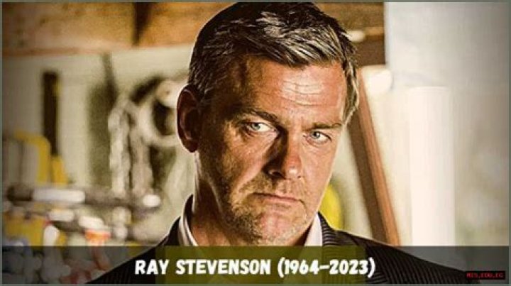 The Rise And Fall Of Ray Stevenson: What Happened?