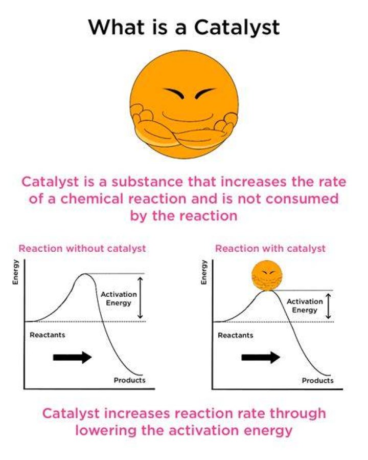 The Role Of Catalysts In Shaping Our Everyday Lives