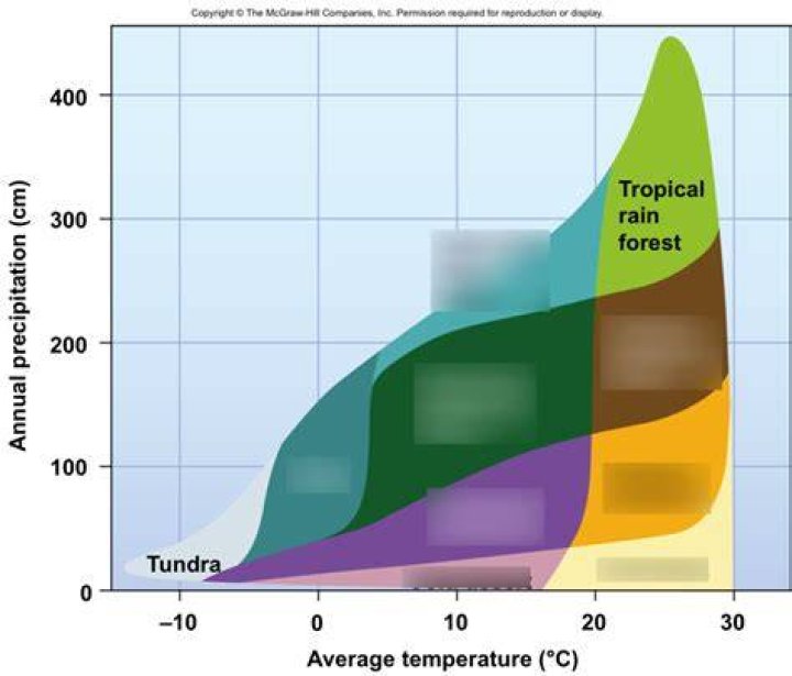 The Significance Of Precipitation In Deciduous Forests: A Comprehensive Guide
