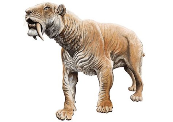 The Terrifying Truth: Predators That Target Humans