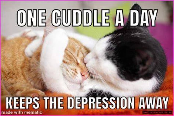 The Ultimate Cuddle Memes Collection | Laugh, Share, And Get Cozy