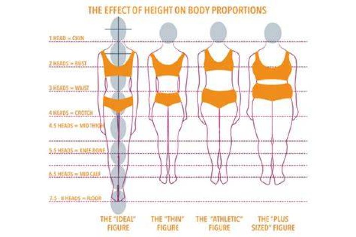 The Ultimate Guide To Body Leg Ratio: Achieving Perfect Proportions