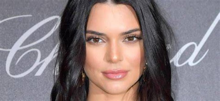 The Ultimate Guide To Devoted Kendall Jenner Fans