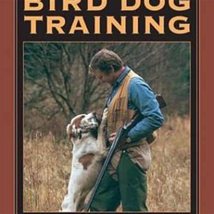 The Ultimate Guide To Duck Commander Hunting And Calling