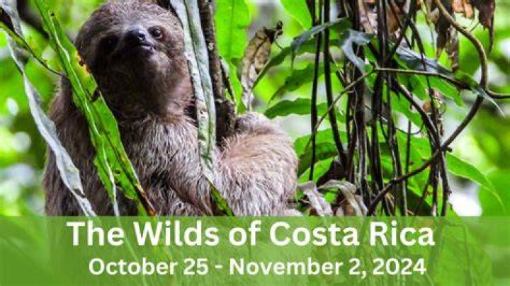 The Ultimate Guide To Finding Love In The Wilds Of Costa Rica