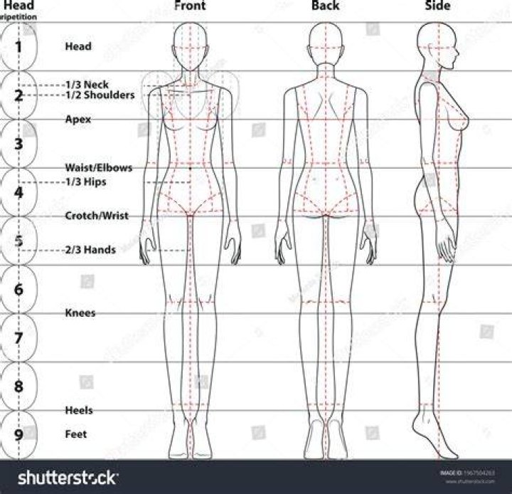 The Ultimate Guide To Leg Proportions: Achieving Perfect Symmetry