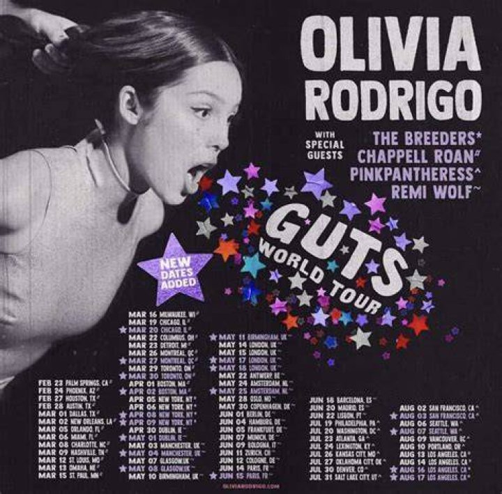 The Ultimate Guide To Olivia Rodrigo's Family Members