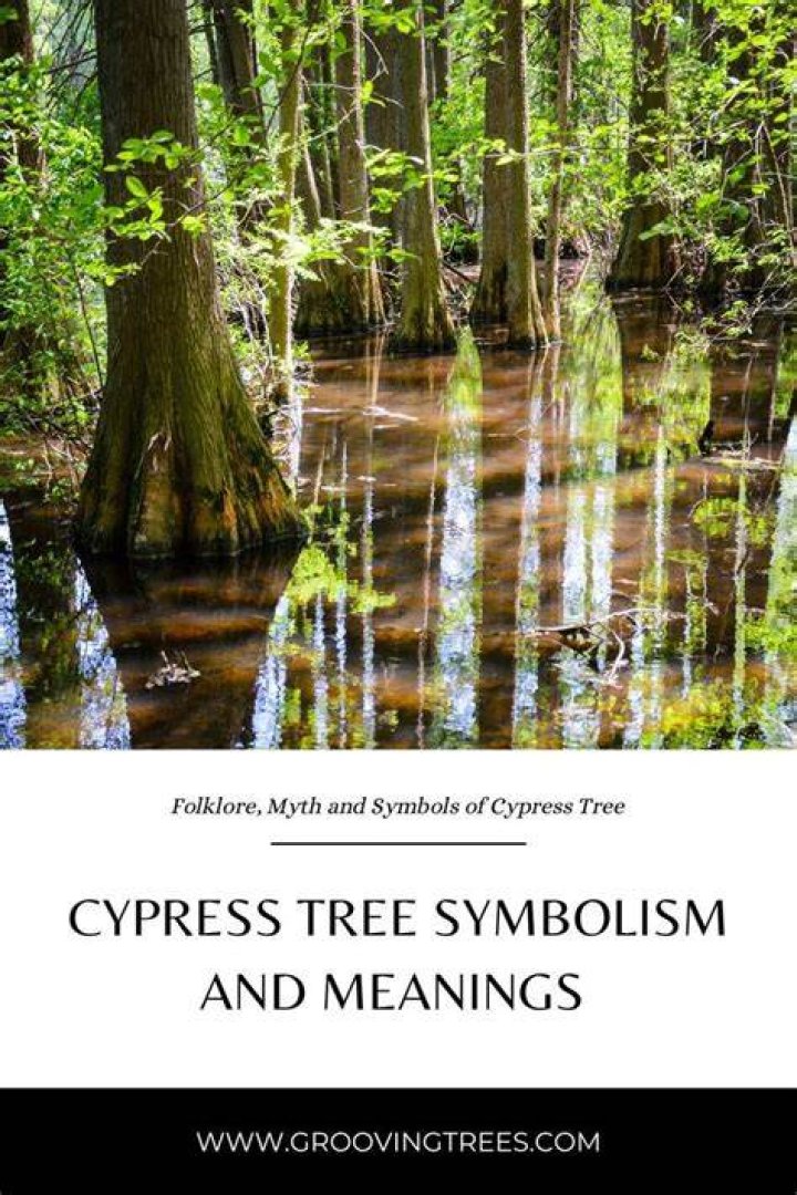 The Ultimate Guide To Pear Tree Symbolism And Meaning