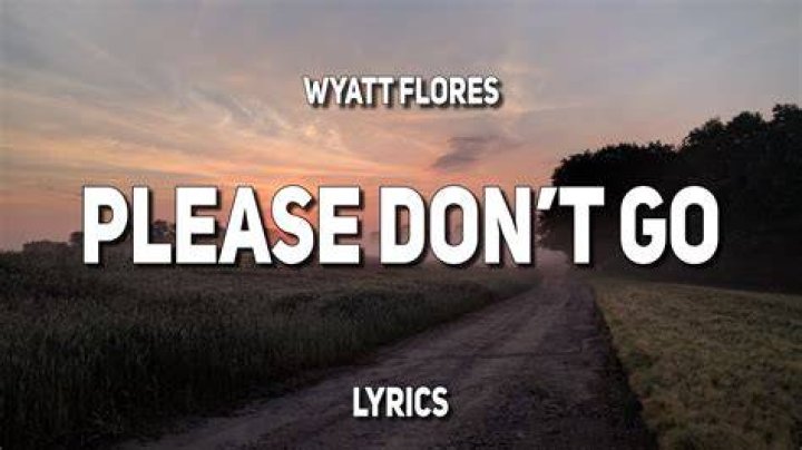 The Ultimate Guide To "Tank Please Don't Go" Lyrics: Meaning And Story
