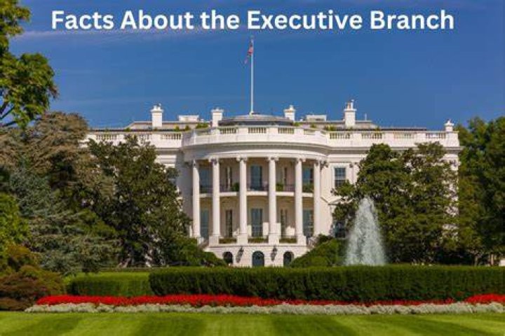 The Ultimate Guide To The Executive Branch's Pivotal Role