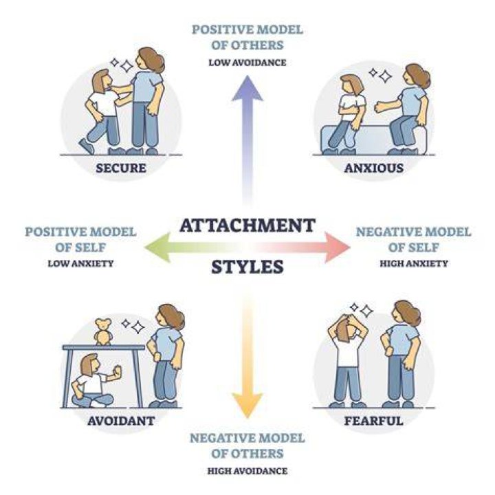 The Ultimate Guide To The Harlow Model: Understanding Attachment And Social Behavior