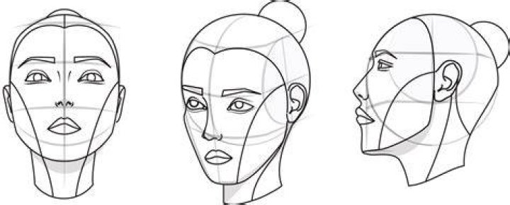 The Ultimate Guide To The Indispensable Functions Of Ears