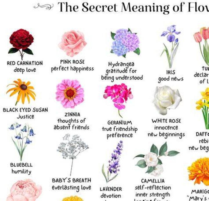 The Ultimate Guide To The Meaning And Symbolism Of Scarves
