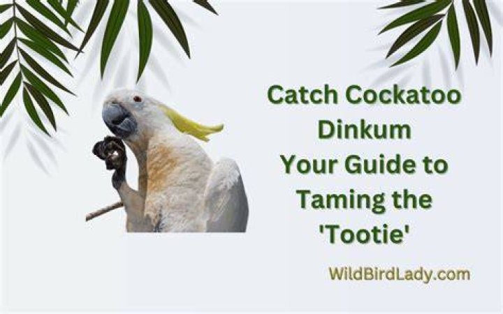 The Ultimate Guide To Tootie Fops: Everything You Need To Know