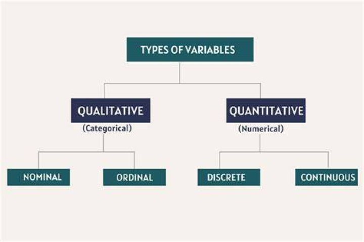 The Ultimate Guide To Understanding Ordinal Variables: Types, Uses, And More