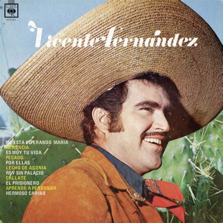 The Ultimate Vicente Fernandez Discography: A Comprehensive Collection Of His Musical Legacy