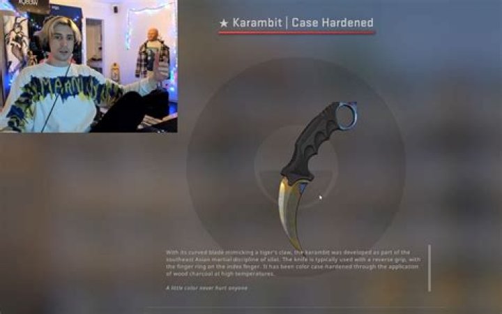 The Xqc Case: A Detailed Analysis