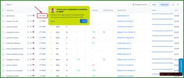 Track Local SERP Rankings With Precision