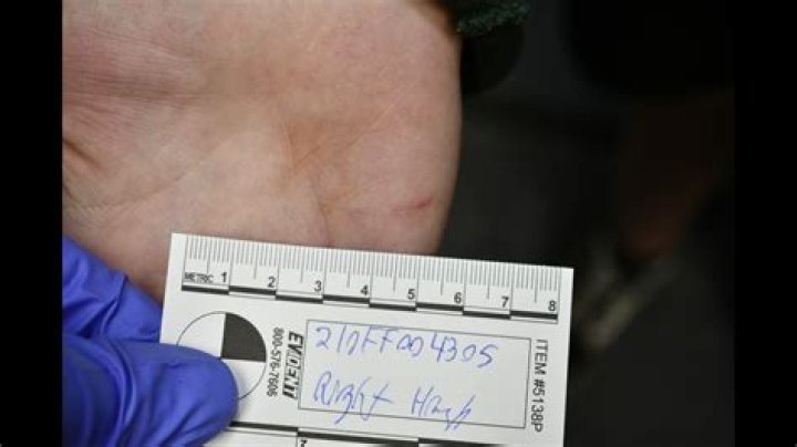 Tristyn Bailey Autopsy Results Unveiled