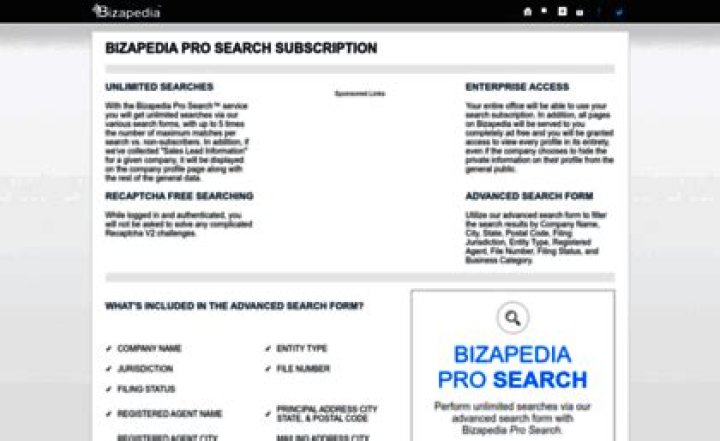 Ultimate Bizapedia Search: Find The Businesses You Need