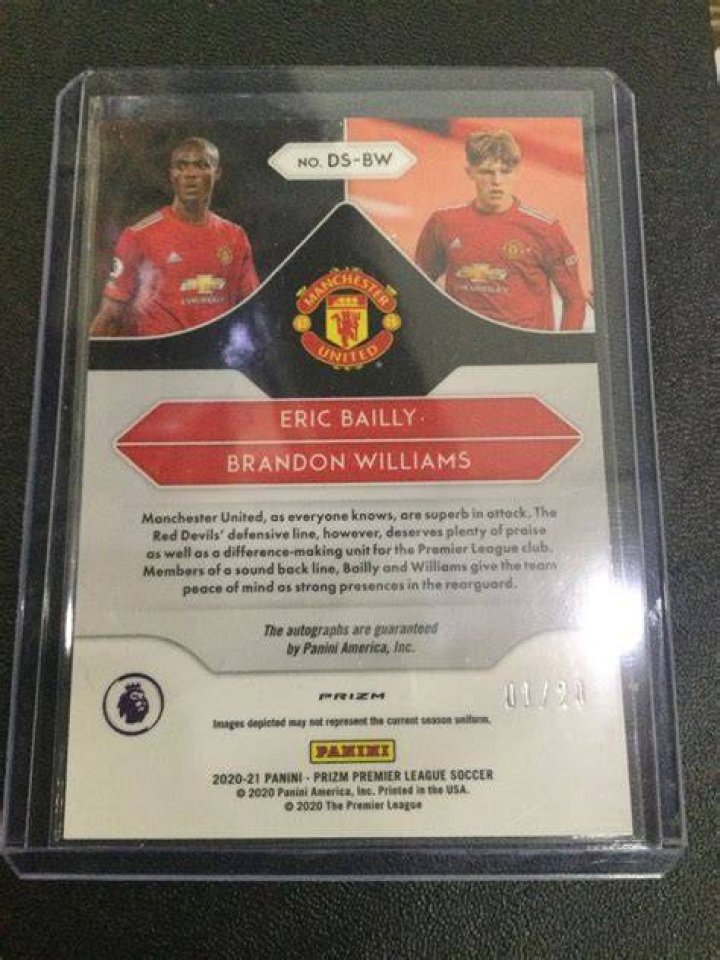 Ultimate Guide: Brandon Eric Williams' Achievements And Impact