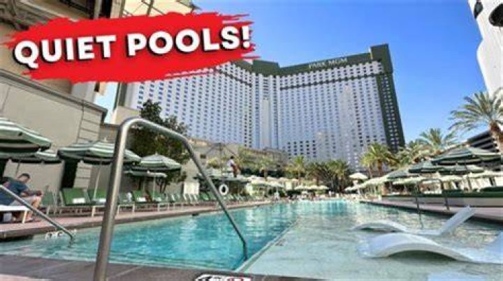 Ultimate Guide To Surviving The Vegas Survivor Pool Bonanza