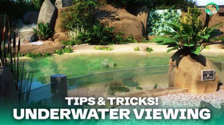 Ultimate Planet Zoo Mastery: Tips And Tricks For Zoo Success