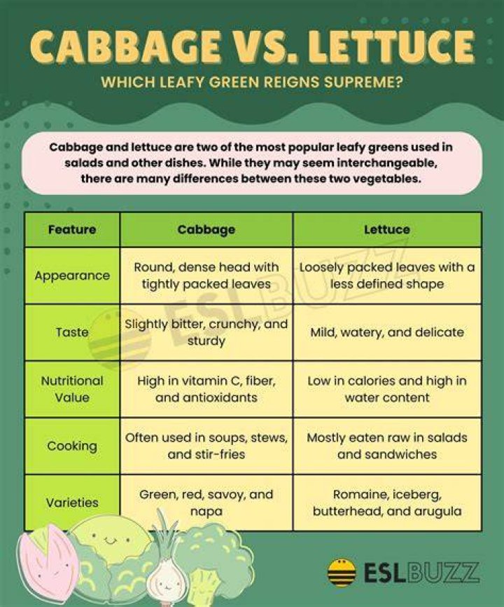 Ultimate Showdown: Which Cabbage Reigns Supreme - Red Or Green?