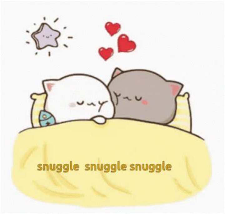 Ultimate Snuggle Meme: The Ultimate Guide To Snuggling Cuteness