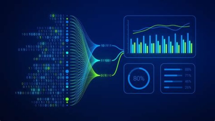 Uncover The Brilliance: Rebecca Pletnewski's Data-Driven Insights