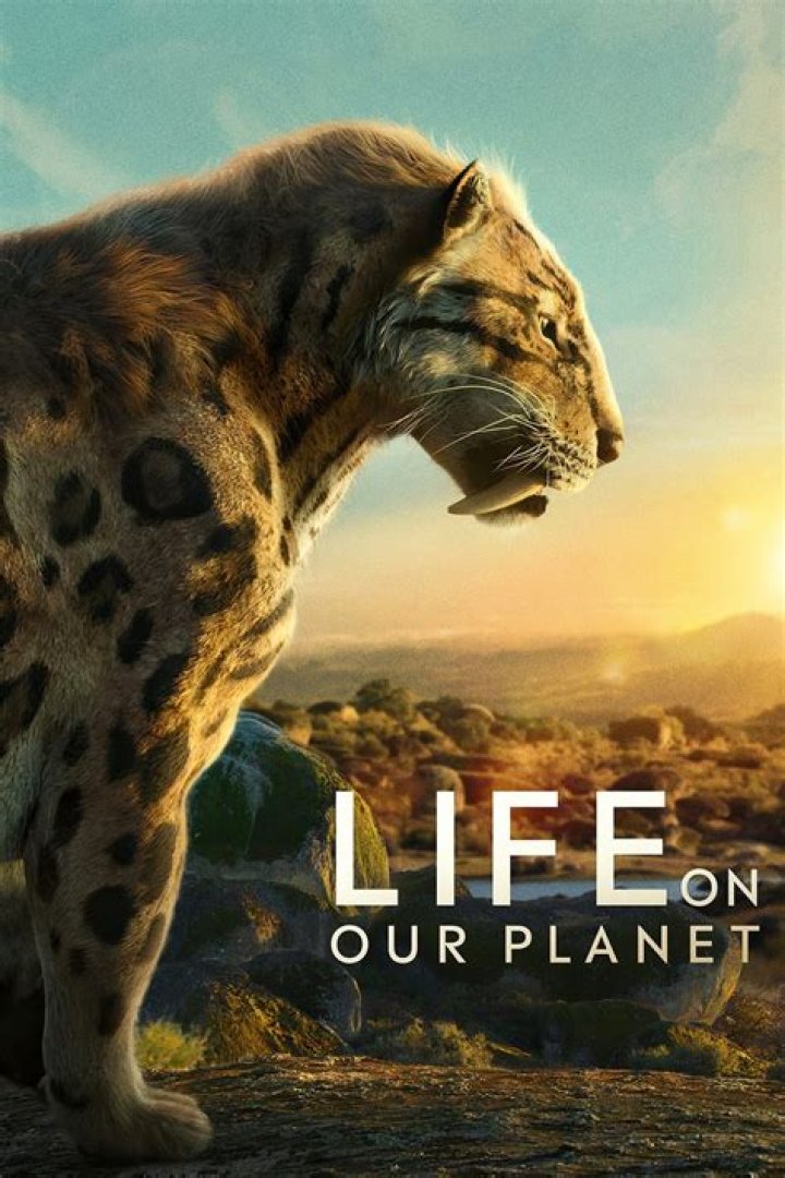 Uncover The World Of Wildlife With Tania Kratt: A Journey Of Discovery