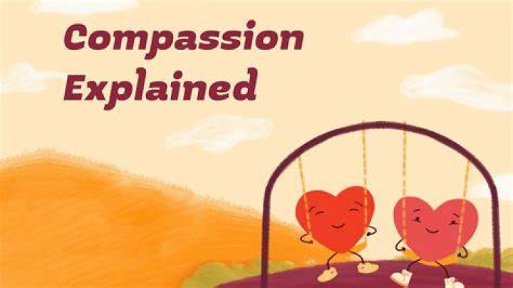 Uncovering A Legacy Of Compassion And Impact
