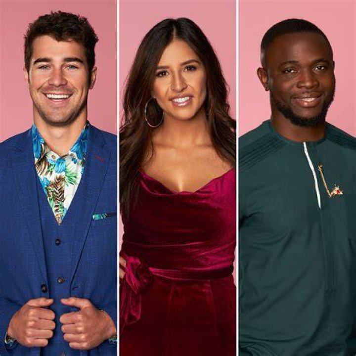 Uncovering The Current Lives Of Love In The Wild Cast: Where Are They Now?